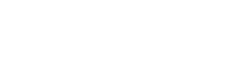 الحلول السريعة